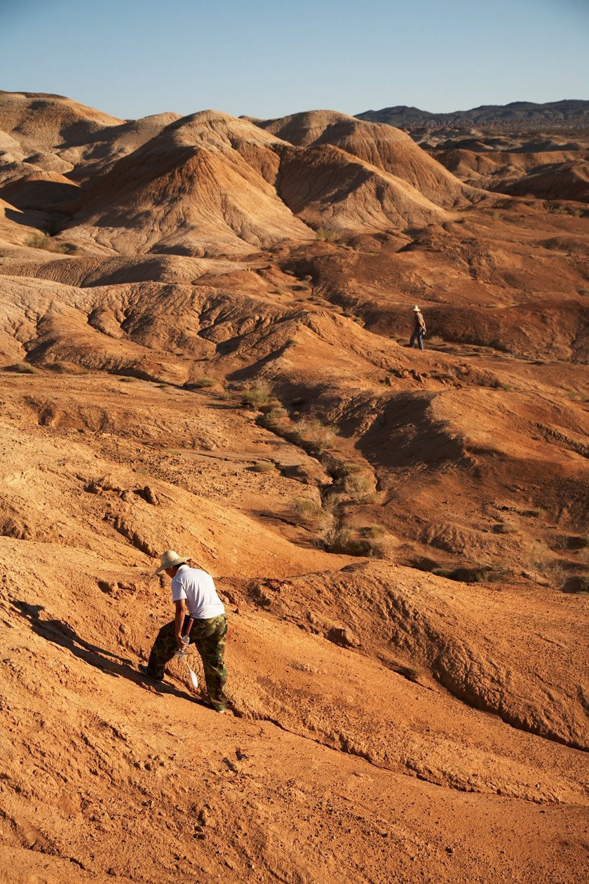 Sceny wokół Wu Cai Wan na pustyni Gobi, Xinjiang, zachodnie Chiny, 2007 (zdjęcie) autorstwa Ira Block