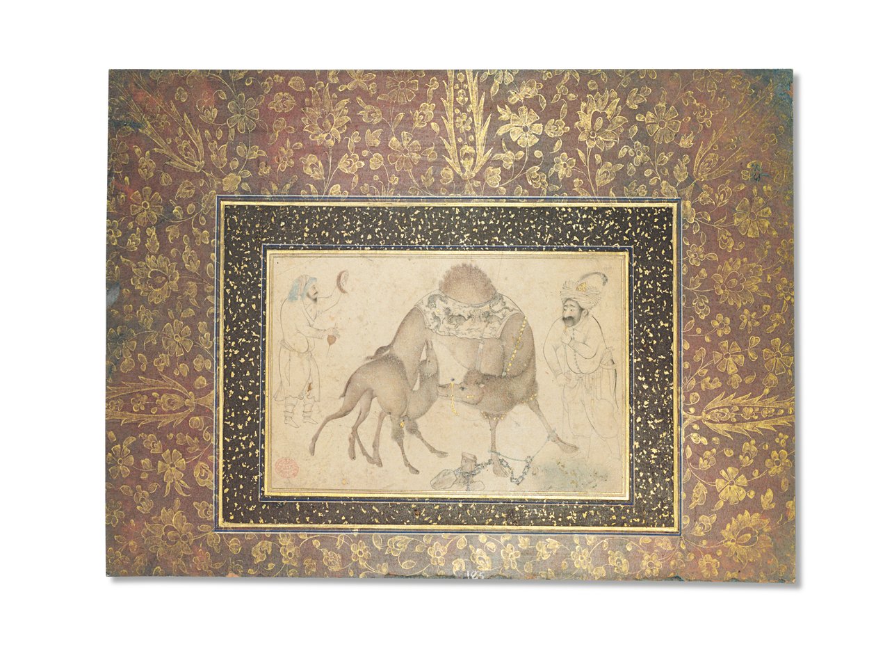 Wielbłąd i jej cielę, Safavid Iran, 1650-1700 autorstwa Iranian School