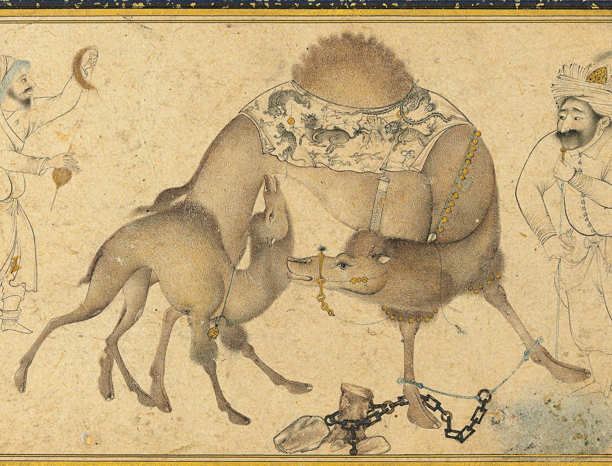 Wielbłąd i jej cielę, Safavid Iran, 1650-1700 autorstwa Iranian School