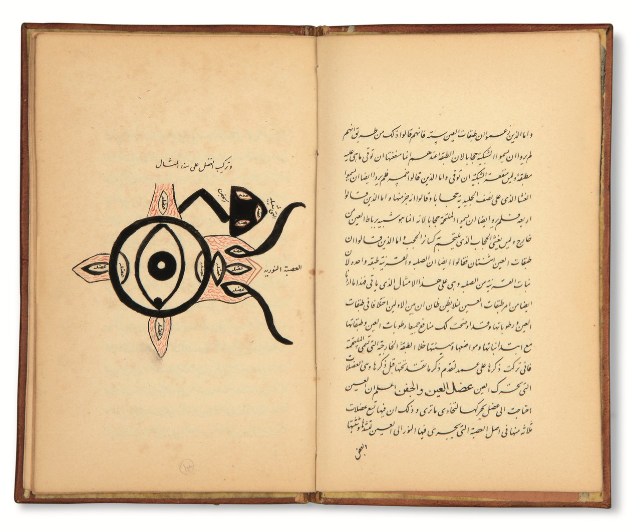 Hunayn Bin Ishaq (zm. 873 n.e.): Trzy traktaty (Maqalat) o okulistyce, Qajar, Iran, pierwsza połowa XIX wieku (tusz na papierze) autorstwa Iranian School