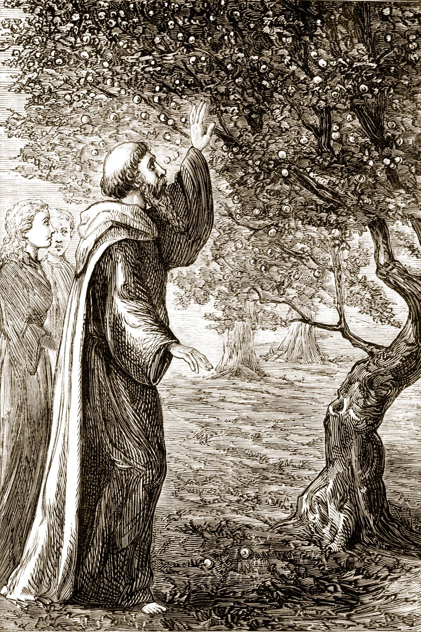 Św. Kolumba zamienia gorzkie owoce w słodkie, z Trias Thaumaturga, czyli Three Wonder-Working Saints of Ireland, autorstwa Mary Cusack (1829-99) opublikowanej ok. 1890 roku autorstwa Irish School