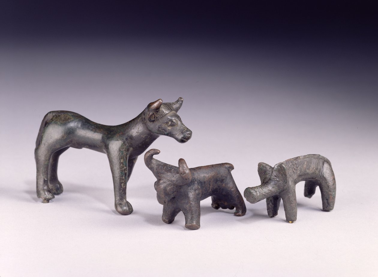 Dwa byki z Węgier i dzik z Jaskini Gower, Rhossilly, Południowa Walia, epoka żelaza (brąz) autorstwa Iron Age