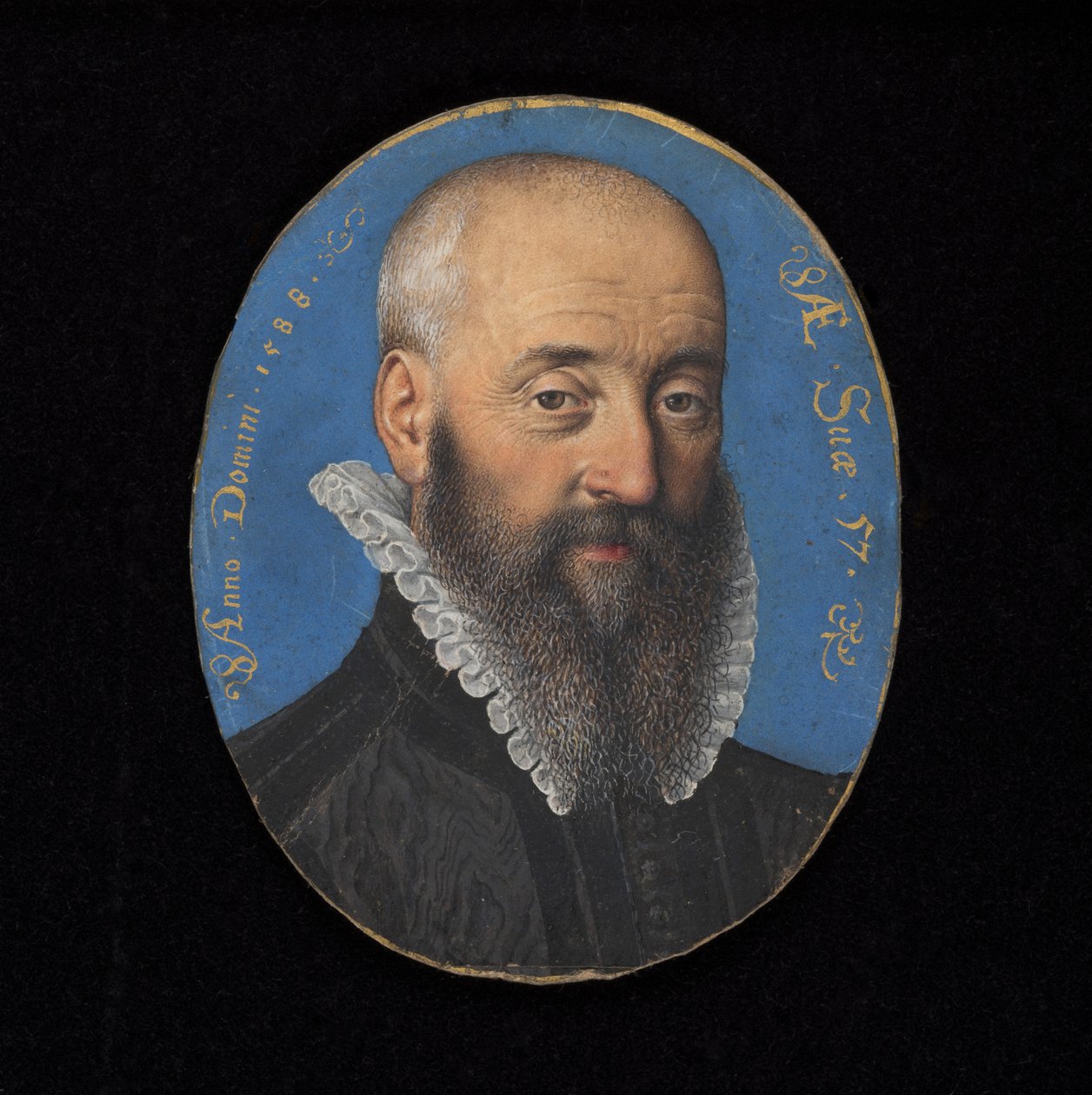 Miniatura portretowa nieznanego mężczyzny, lat 57, 1588 (wc na welinie) autorstwa Isaac Oliver