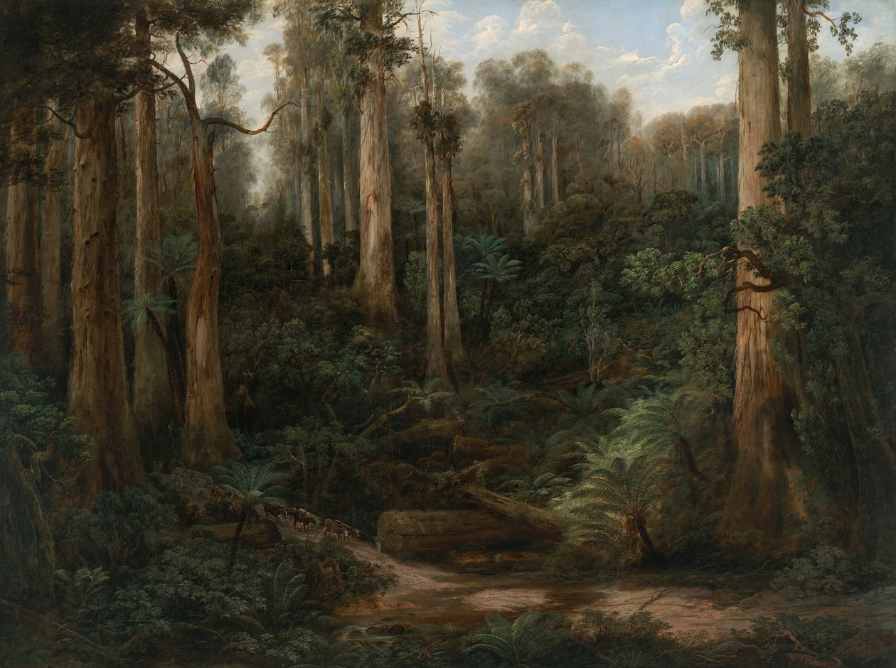 Wąwóz Sassafras, Gippsland autorstwa Isaac Whitehead