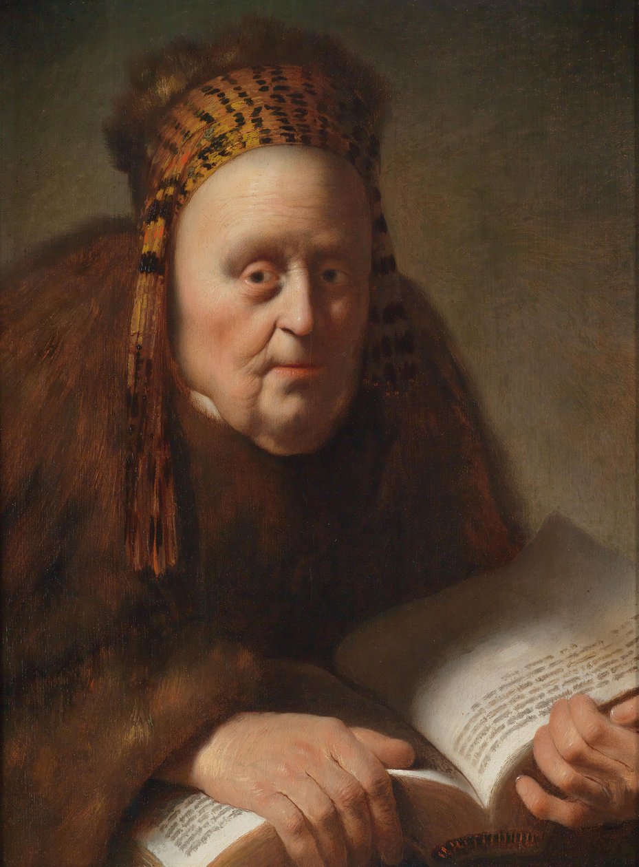 Sir Delves sprowadzony autorstwa Isaac de Jouderville