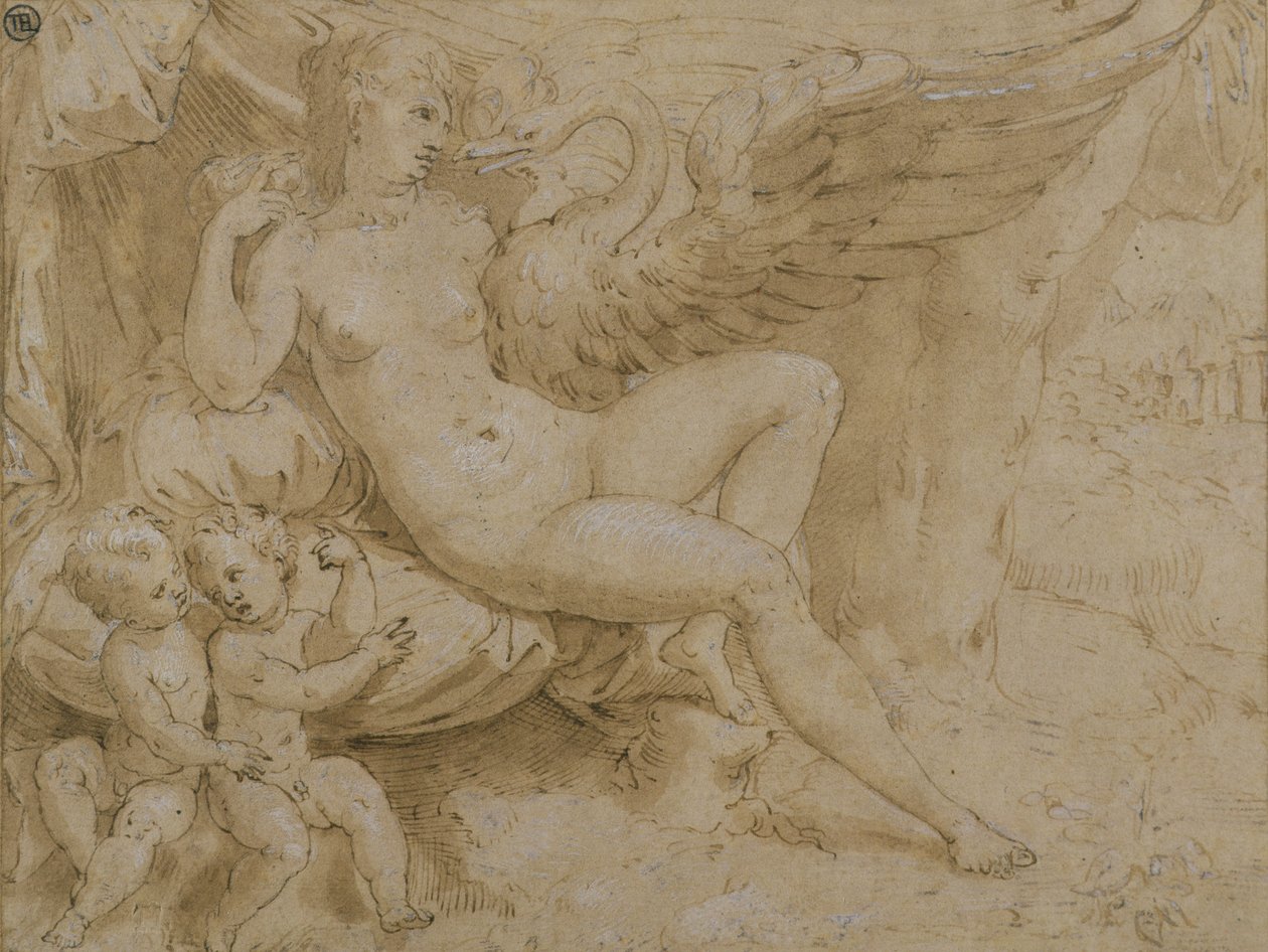 Leda and the Swan (pióro i tusz, pranie i biały kolor nadwozia na papierze) autorstwa Isaac Oliver