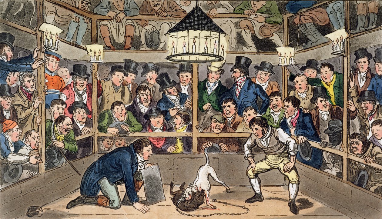 Tom i Jerry grający blanta na temat fenomenu Monkey, Jacco Macacco, w Westminster Pit, z filmu „Life in London” Pierce’a Egana autorstwa Isaac Robert & George (1792 1878) Cruikshank