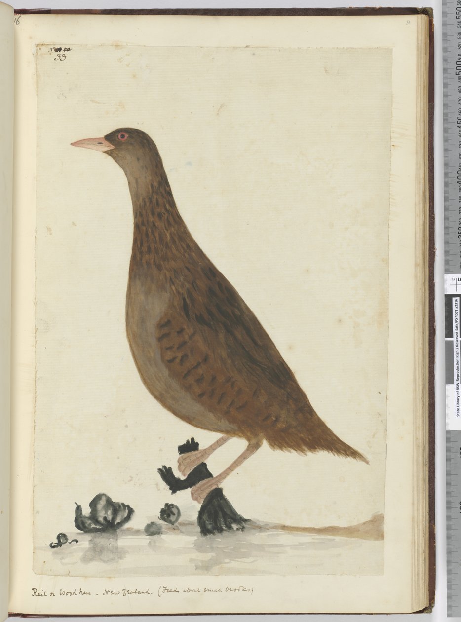 F.33 Szyling lub kura z drewna. Nowa Zelandia. (Dodatki do małych strumyków), 1772-75 (wc) autorstwa Isaac Smith