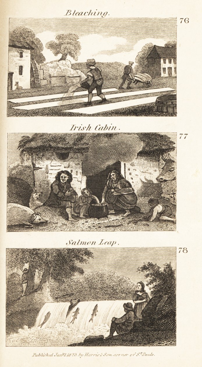 Transakcje w Regency Ireland: bielenie, irlandzka kabina i skok łososiowy autorstwa Isaac Taylor