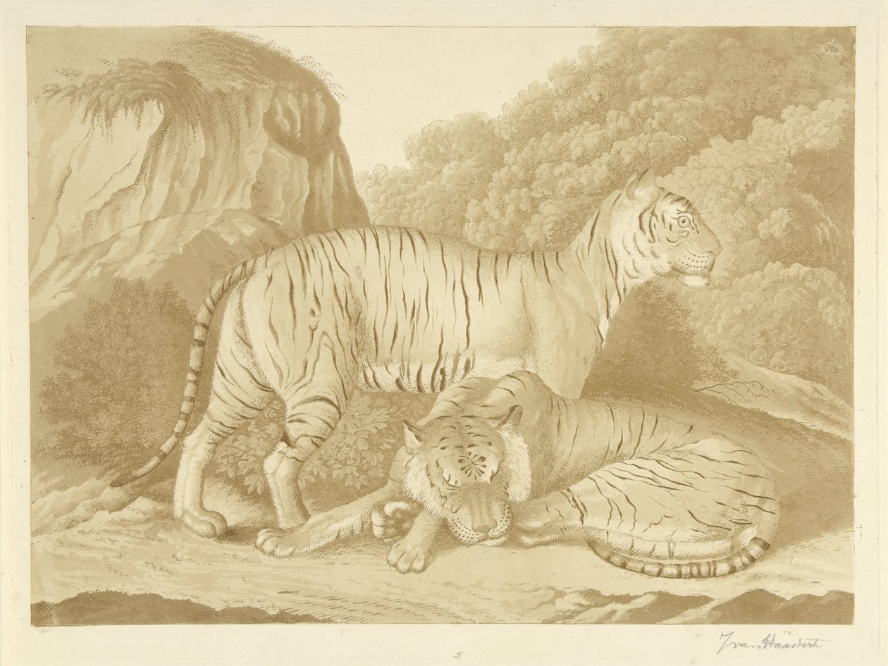 Dwa tygrysy w krajobrazie autorstwa Isaac van Haastert (signed by artist)