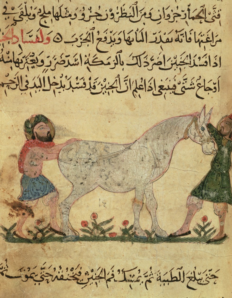 Weterynarz pomagający rodzić klaczy, ilustracja z „Księgi kowalstwa” Ahmeda ibn al-Husayn ibn al-Ahnaf, 1210 autorstwa Islamic School