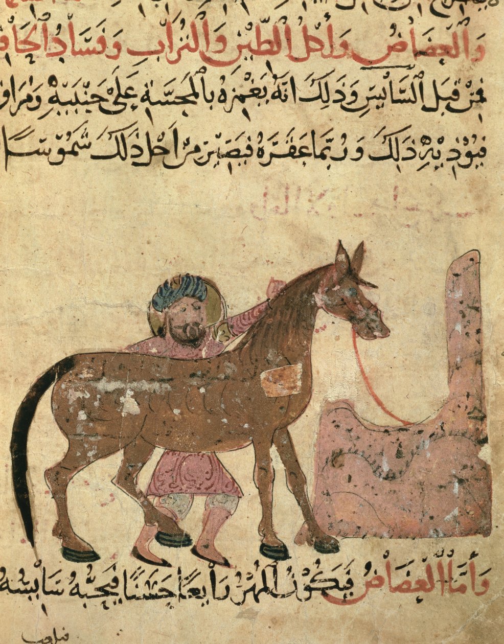 Opieka nad koniem, ilustracja z „Księgi kowalstwa” Ahmeda ibn al-Husayna ibn al-Ahnaf, 1210 autorstwa Islamic School