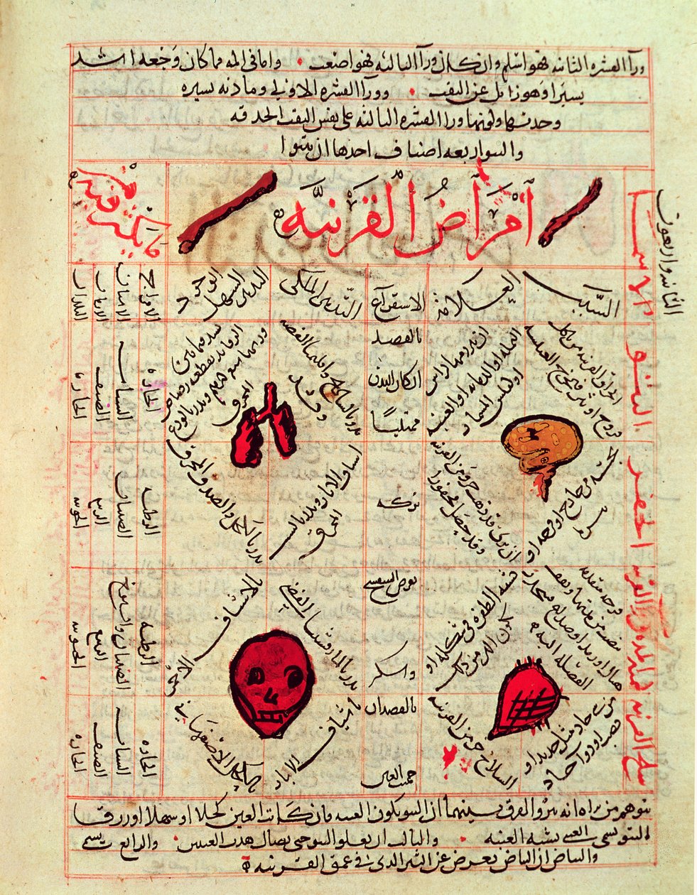 Strona z „Kanonu medycyny” Awicenny (Ibn Sina) (980-1037) autorstwa Islamic School