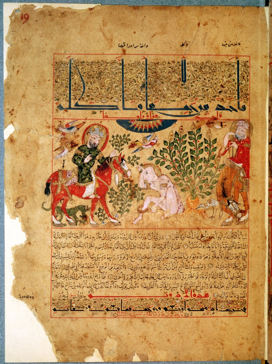 Ms. Arabe 2964 fol.19 Doktor Anoromach uzdrawiający brata ugryzionego przez węża, z Treatise of Theriac po Galien, 1217 autorstwa Islamic School