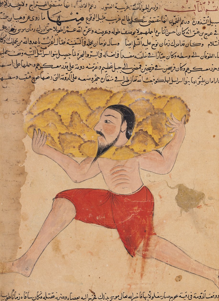 Ms E-7 fol.212a Karkonosze Niosące, z „Cuda stworzenia i osobliwości istnienia” Zakariya