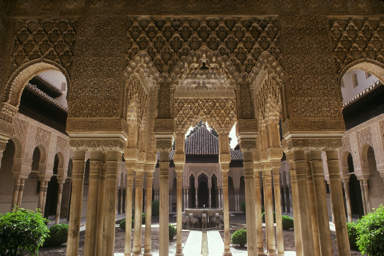 Dwór Lwów autorstwa Islamic School