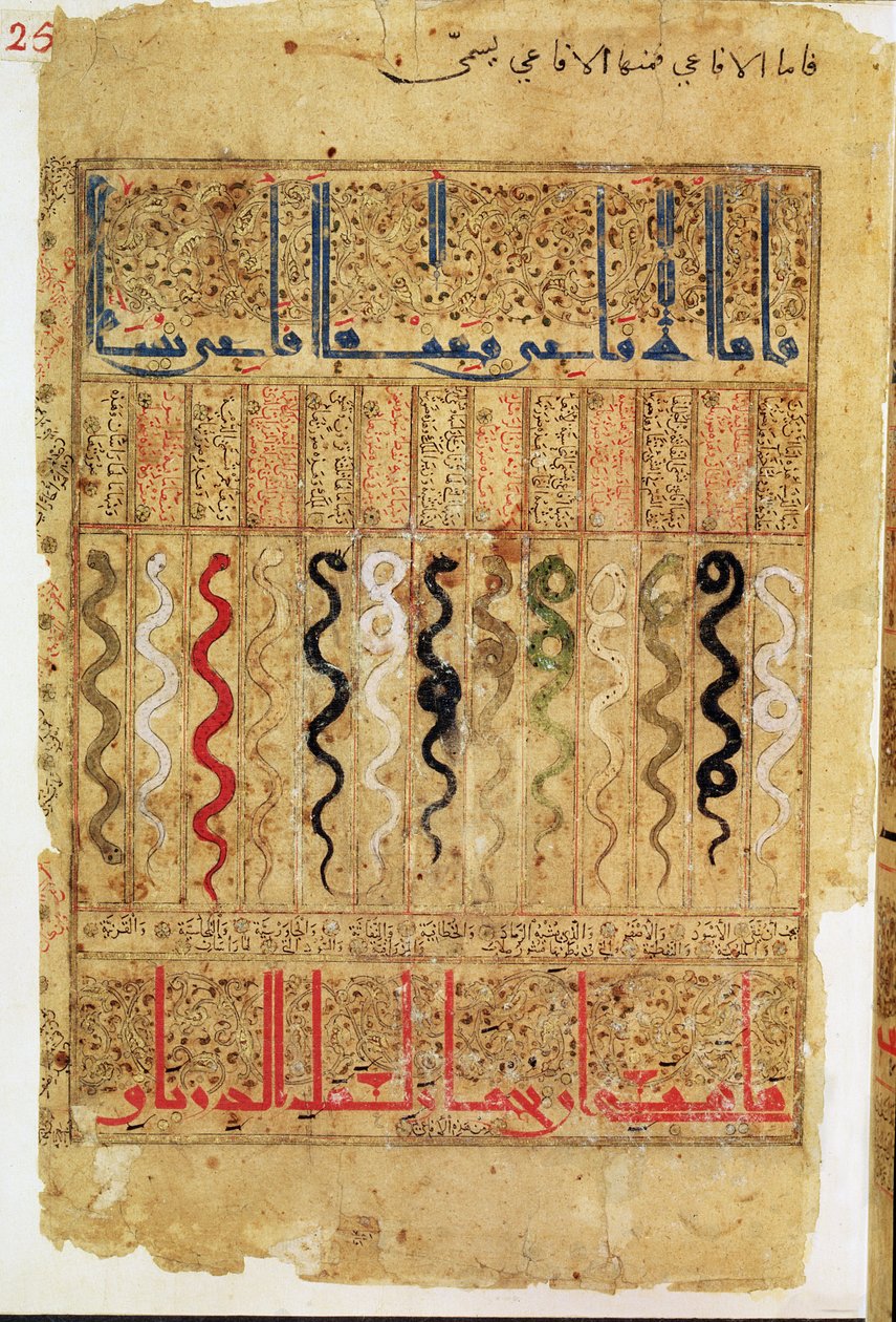 Traktat Theriac po Galien, 1217 autorstwa Islamic School