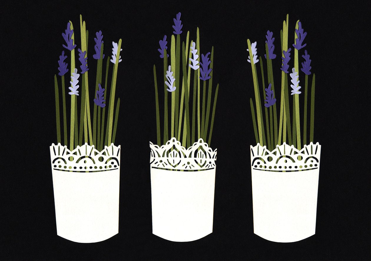 Lawendowe doniczki, 2014 (papier) autorstwa Isobel Barber