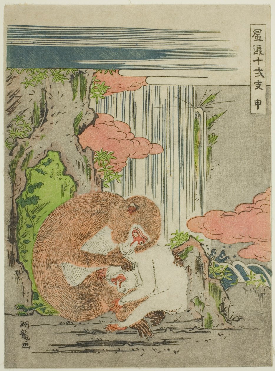 Małpa (Saru), z serii „Modne dwanaście znaków zodiaku (Furyu juni shi)” autorstwa Isoda Koryusai