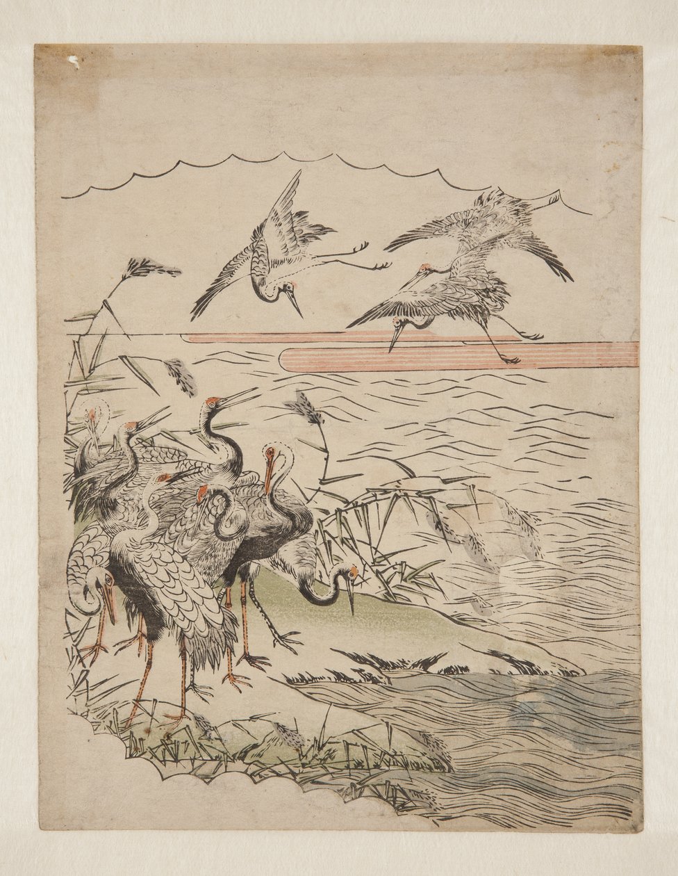 Returning Cranes (kolorowy drzeworyt) autorstwa Isoda Koryusai