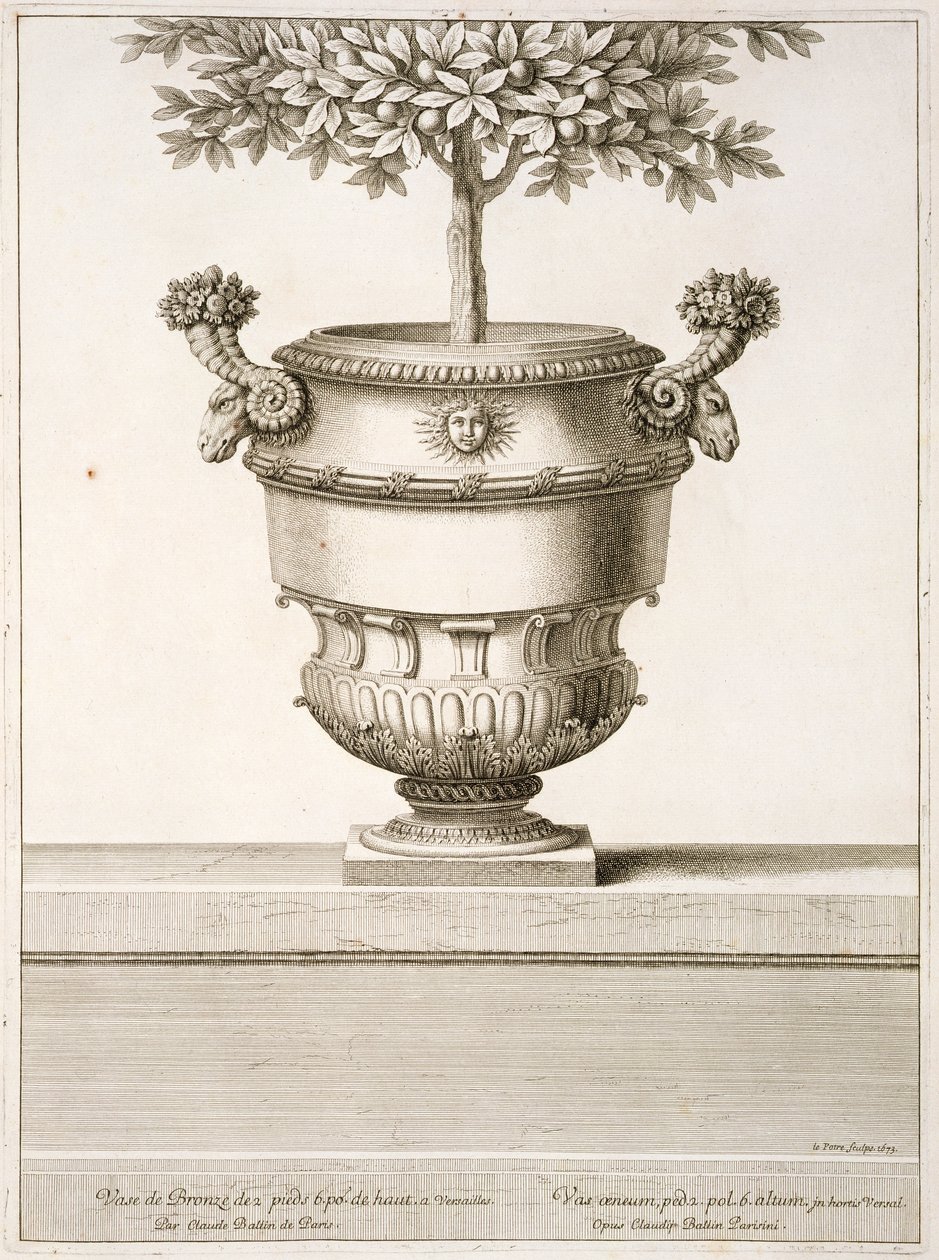 Urny z brązu używane do drzewek cytrusowych, ilustracja z „Widoków i planów wersalskich”, Paryż, ok. 1664-89 (rycina) autorstwa Israel the Younger (after) Silvestre