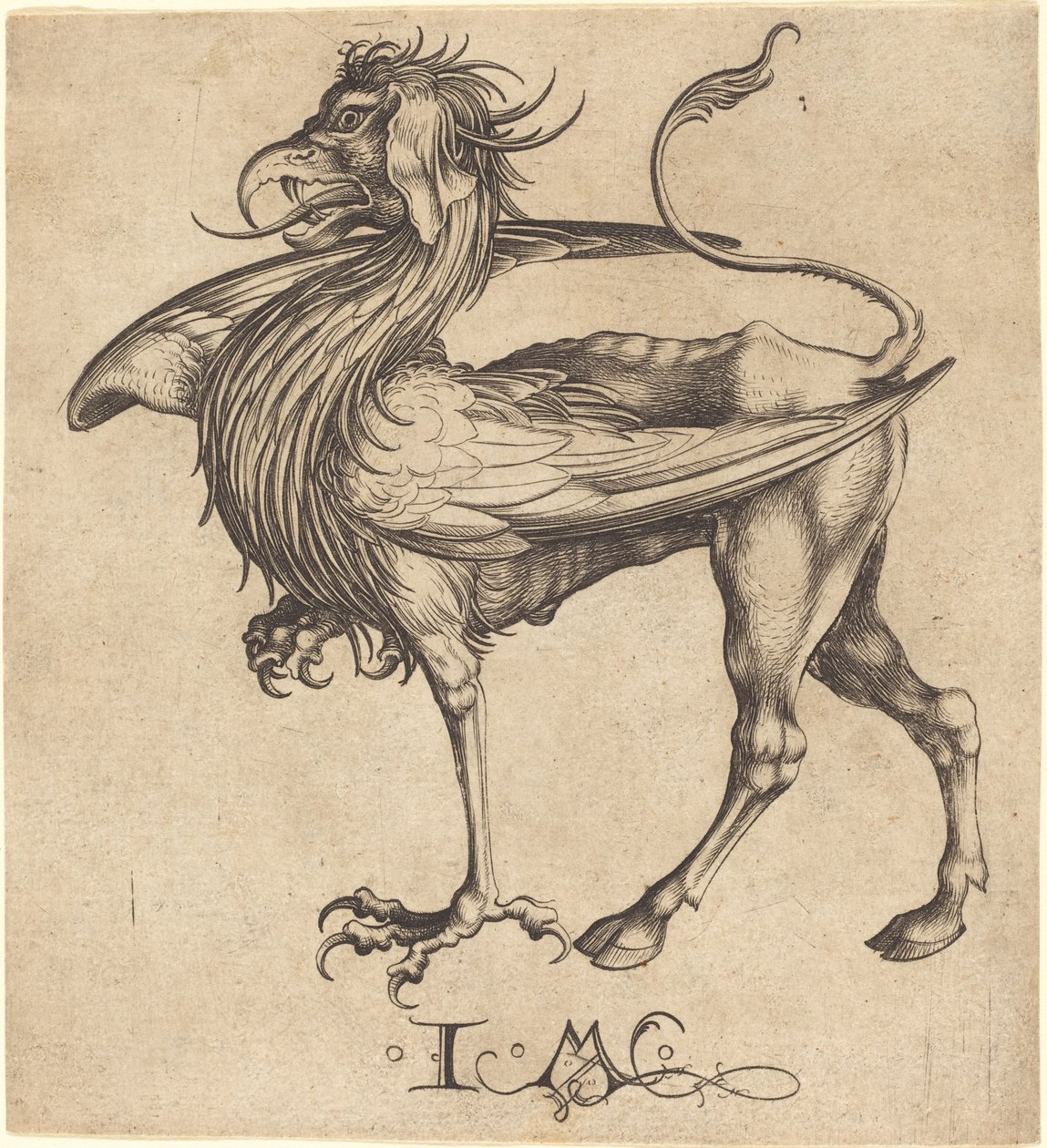 Gryf autorstwa Israhel van Meckenem after Martin Schongauer