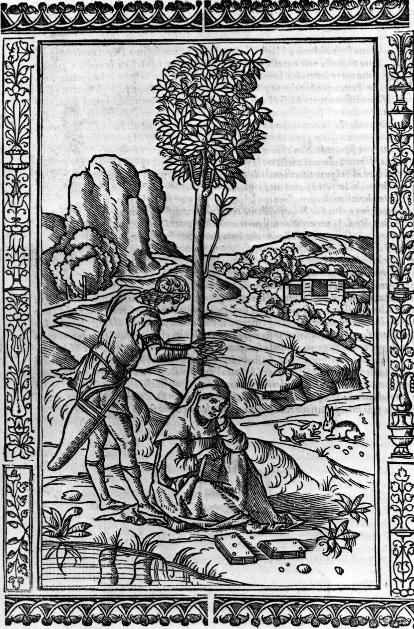 Frontispis do tomu wierszy Francesco Petrarki autorstwa Italian School