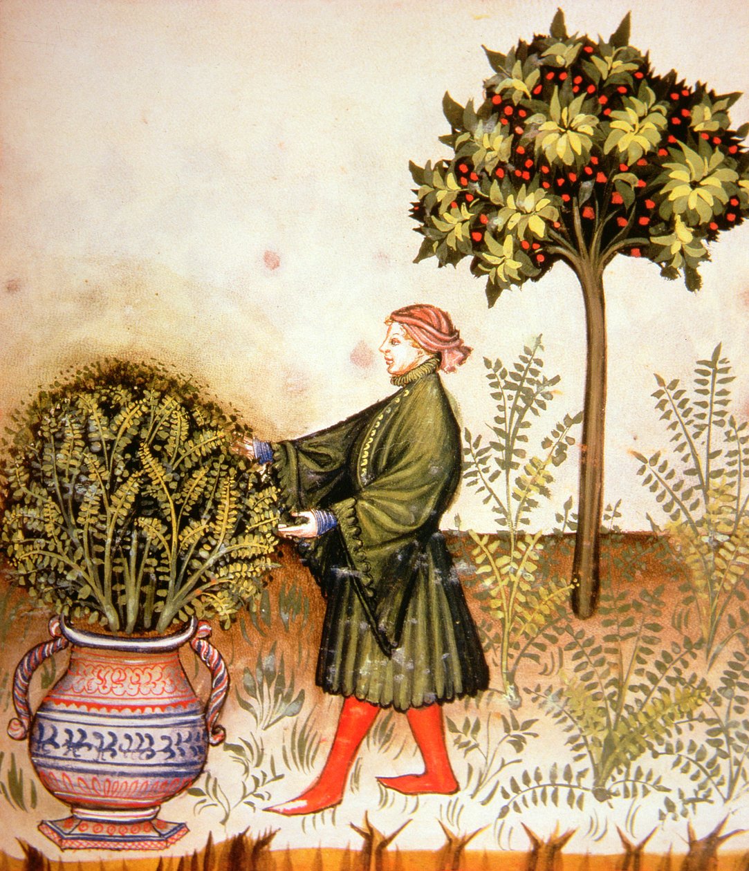 Nova 2644 fol.31r Tnąca Bazylia, z Tacuinum Sanitatis autorstwa Italian School