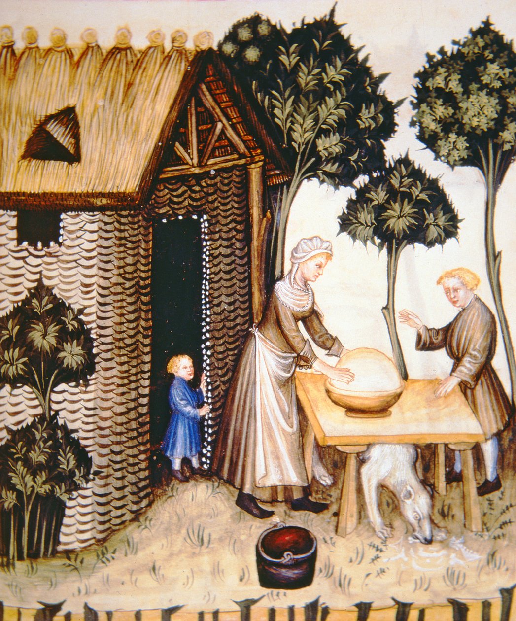 Nova 2644 fol.61r Przygotowanie masła z Tacuinum Sanitatis autorstwa Italian School