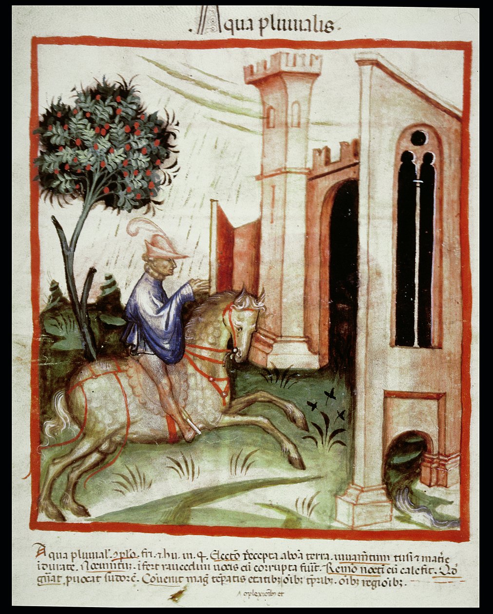 Nova 2644 fol.89v Woda deszczowa, z Tacuinum Sanitatis autorstwa Italian School
