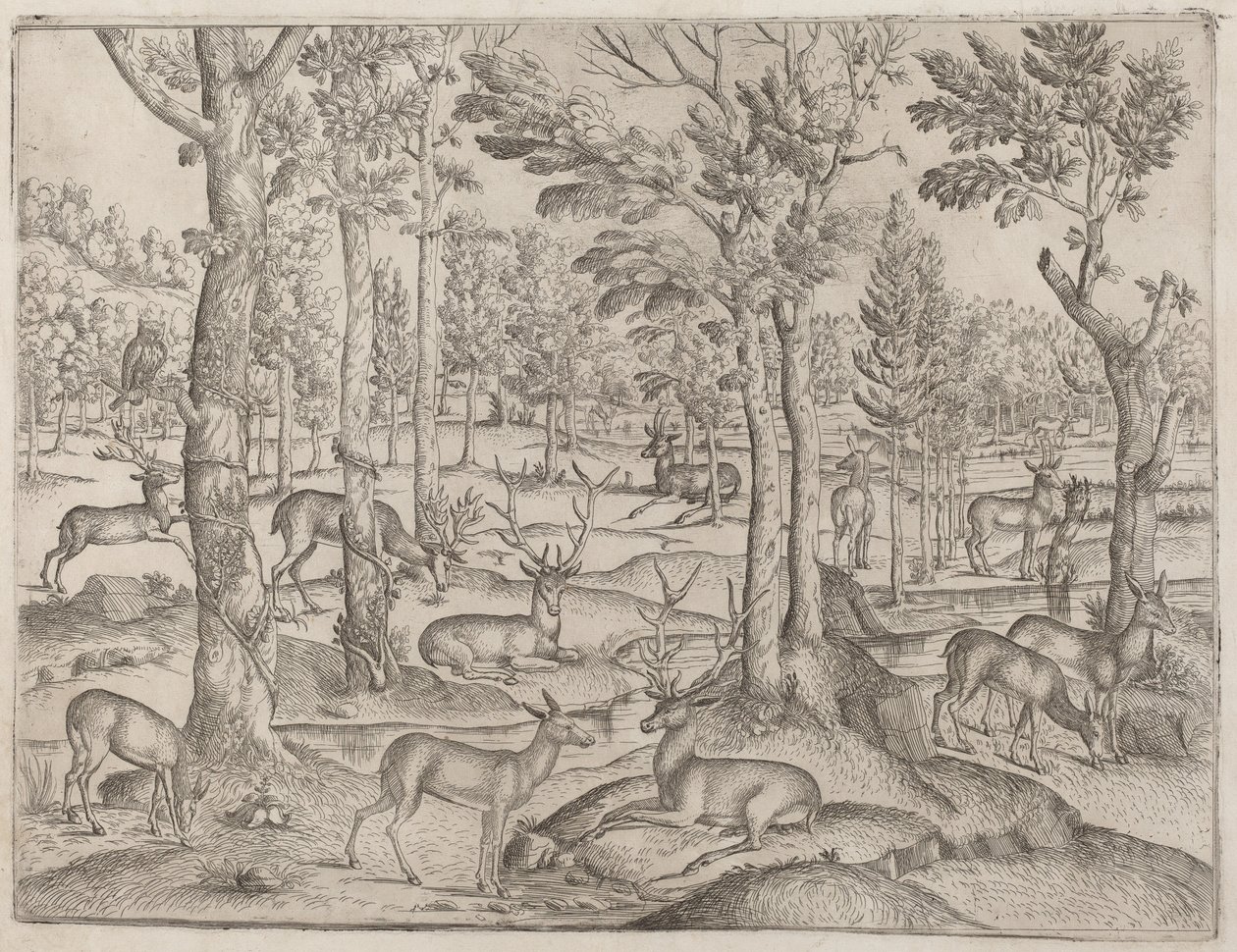 Jeleń w lesie autorstwa Italian 16th Century