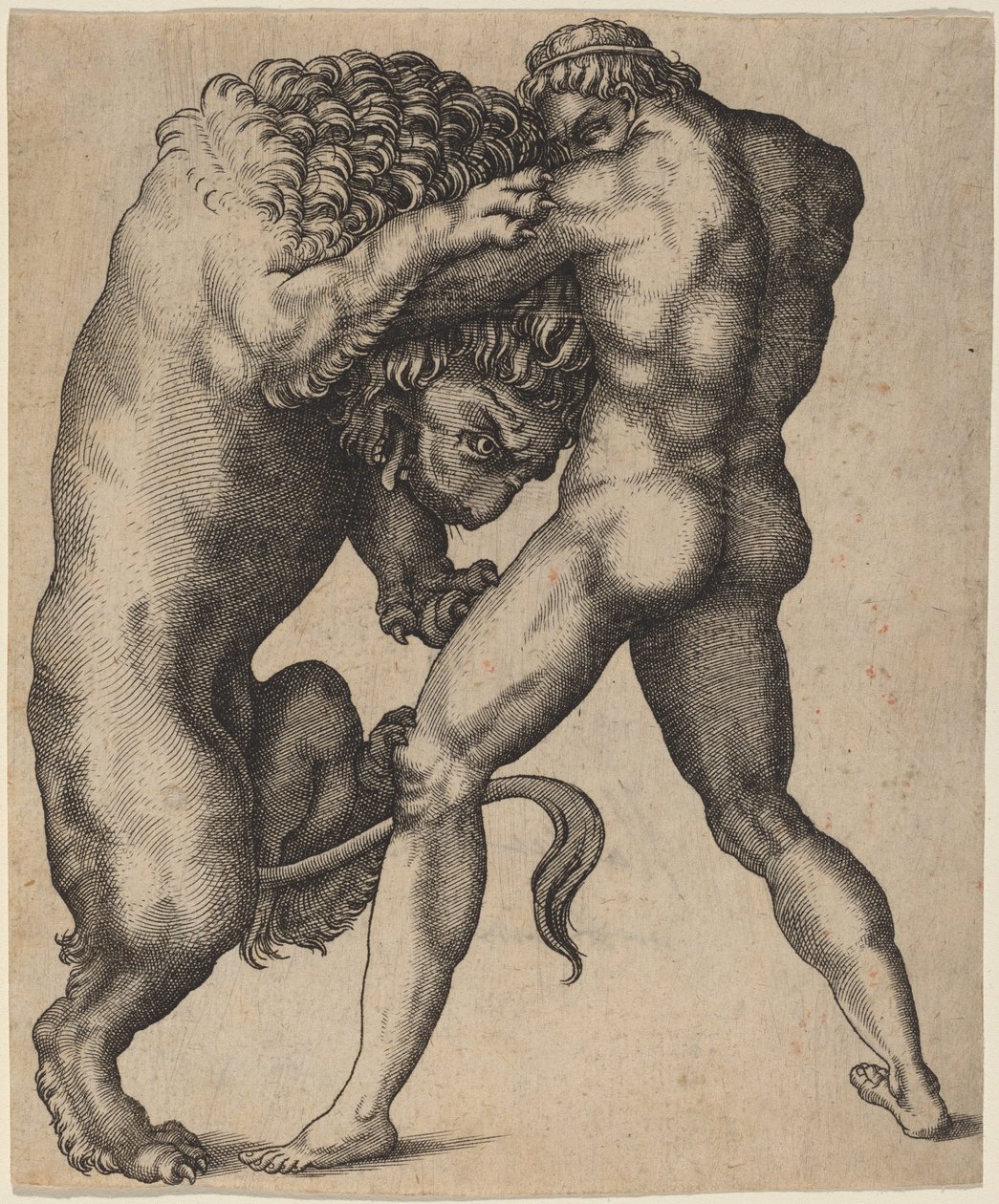 Herkules i lew nemejski autorstwa Italian 16th Century