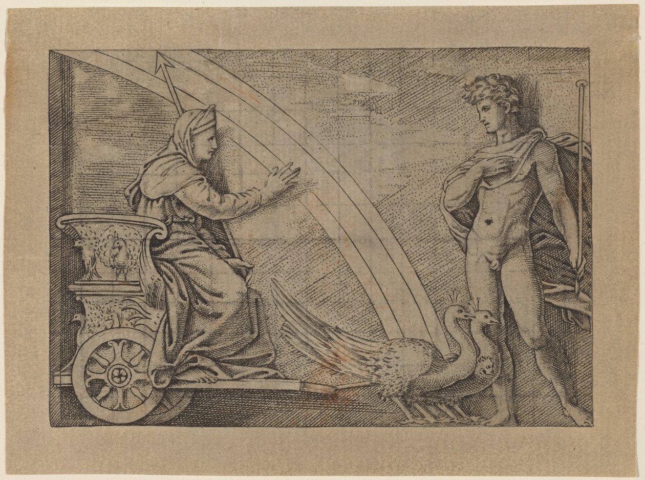 Juno w rydwanie ciągniętym przez pawie autorstwa Italian 16th Century
