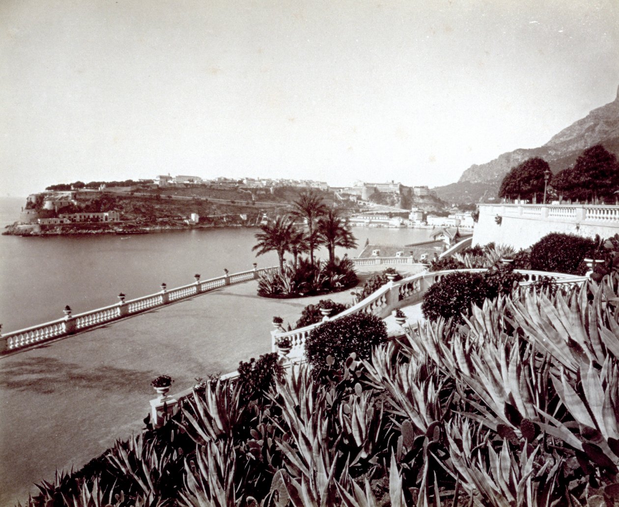 Panorama Monte Carlo. Na pierwszym planie gęsta roślinność agawy i kaktusów autorstwa Italian Photographer