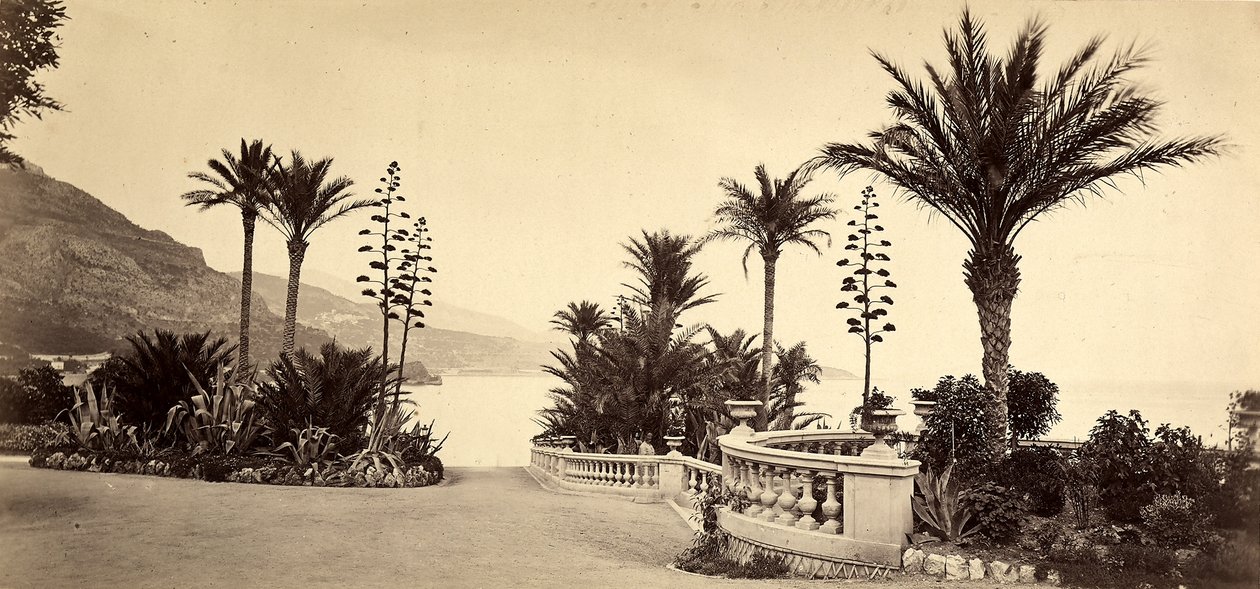 Ogród kasyna Monte Carlo w Księstwie Monako autorstwa Italian Photographer
