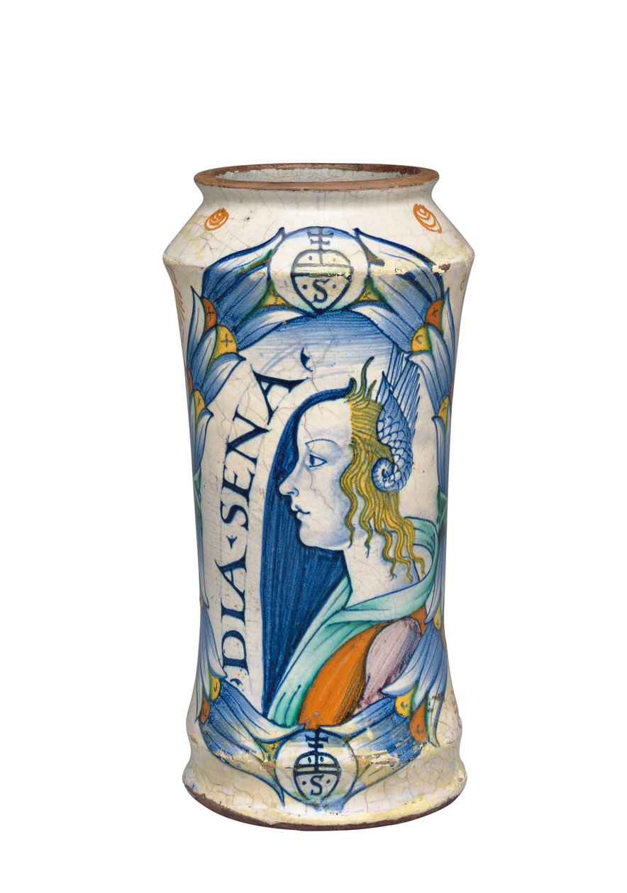 W Deruta Maiolica „Bella Donna” Albarello, ok. 1510-20 autorstwa Italian School
