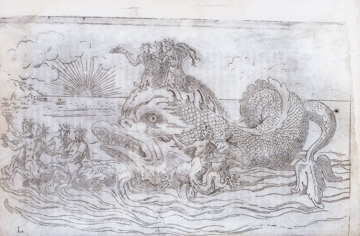 Fantastyczny rydwan rybny, 1579 autorstwa Italian School