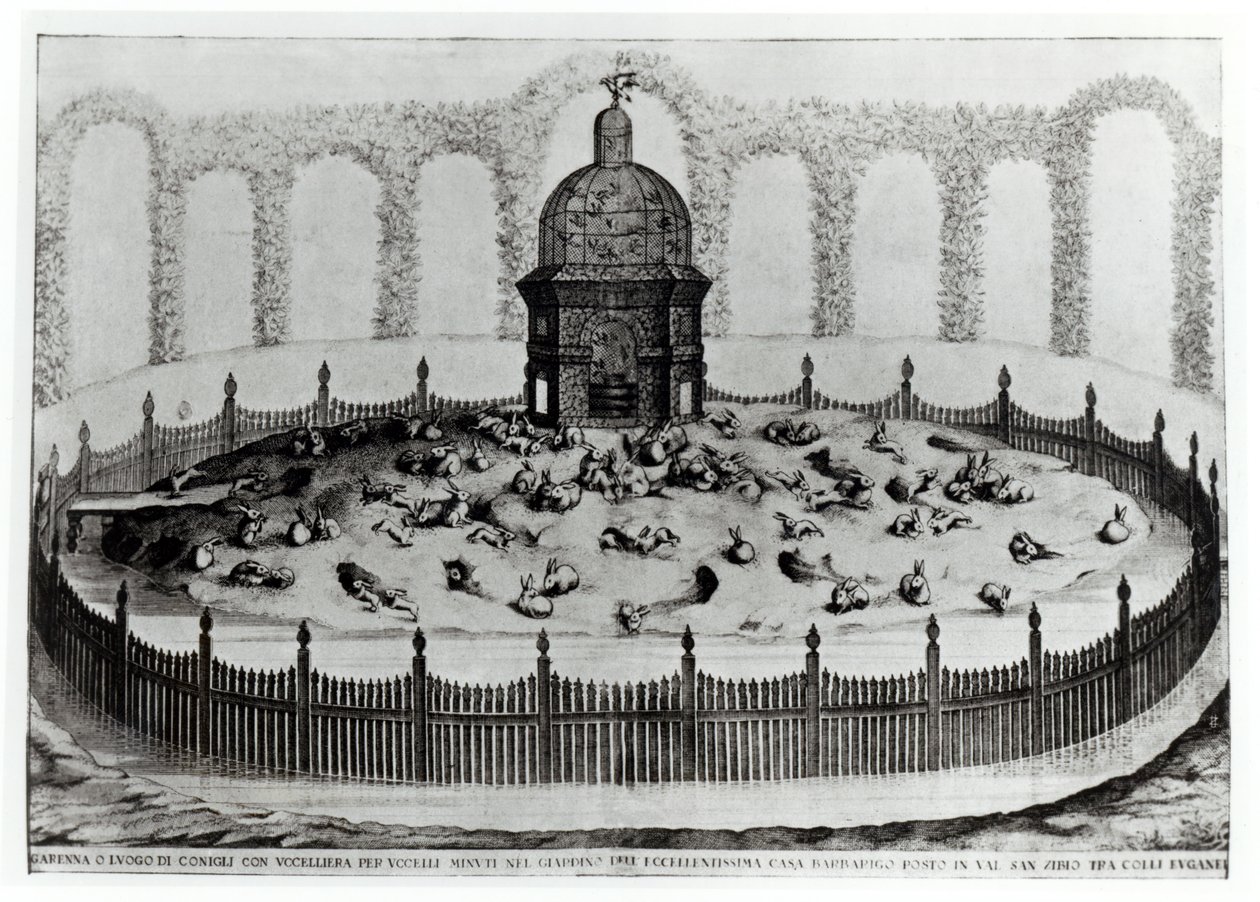 Królik z wolierą dla małych ptaków, od Le Fabbriche e i Giardini dellEcc. Casa Barbariga, autorstwa D. Rossettiego, rycina G. Campana, wydana w 1702 r. autorstwa Italian School