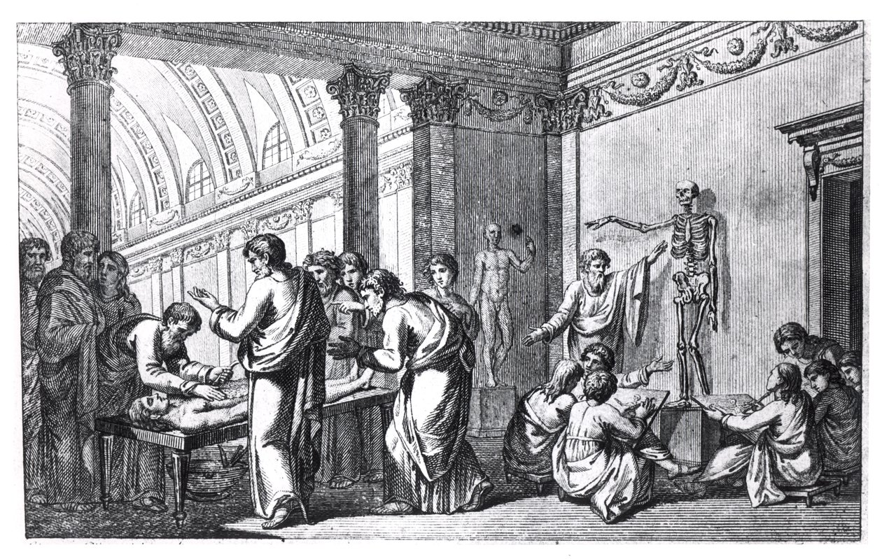 Szkoła anatomii w starożytności, z Tabulae Anatomicae Pietro Berrettiniego da Cortony (1596-1669) opublikowanej w Rzymie, 1778 autorstwa Italian School
