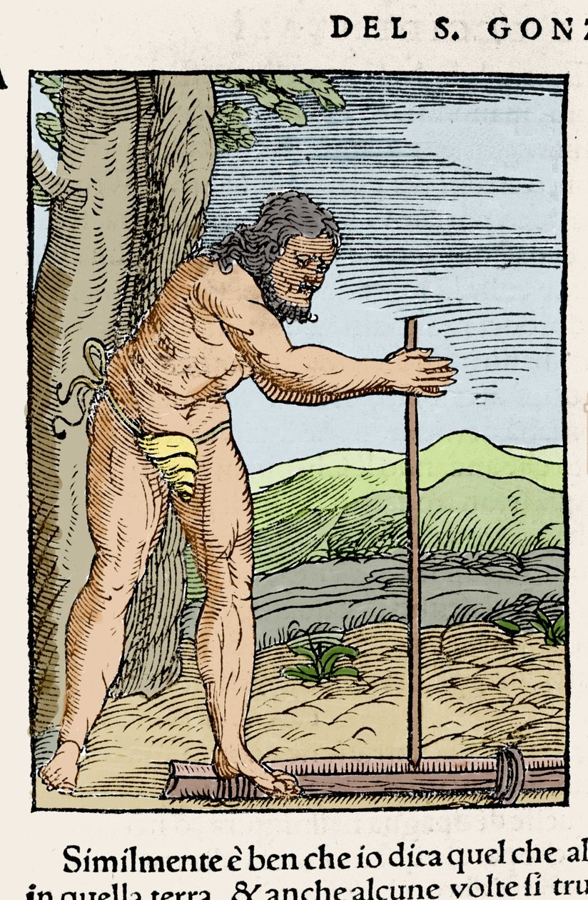 Rodowity mężczyzna rozpalający ogień przez pocieranie dwóch kawałków drewna. Rycina z „”Nawigacjii i Viaggi”” Giovanniego Battisty Ramusio (1485-1557), tom. III, Wenecja 1565. autorstwa Italian School