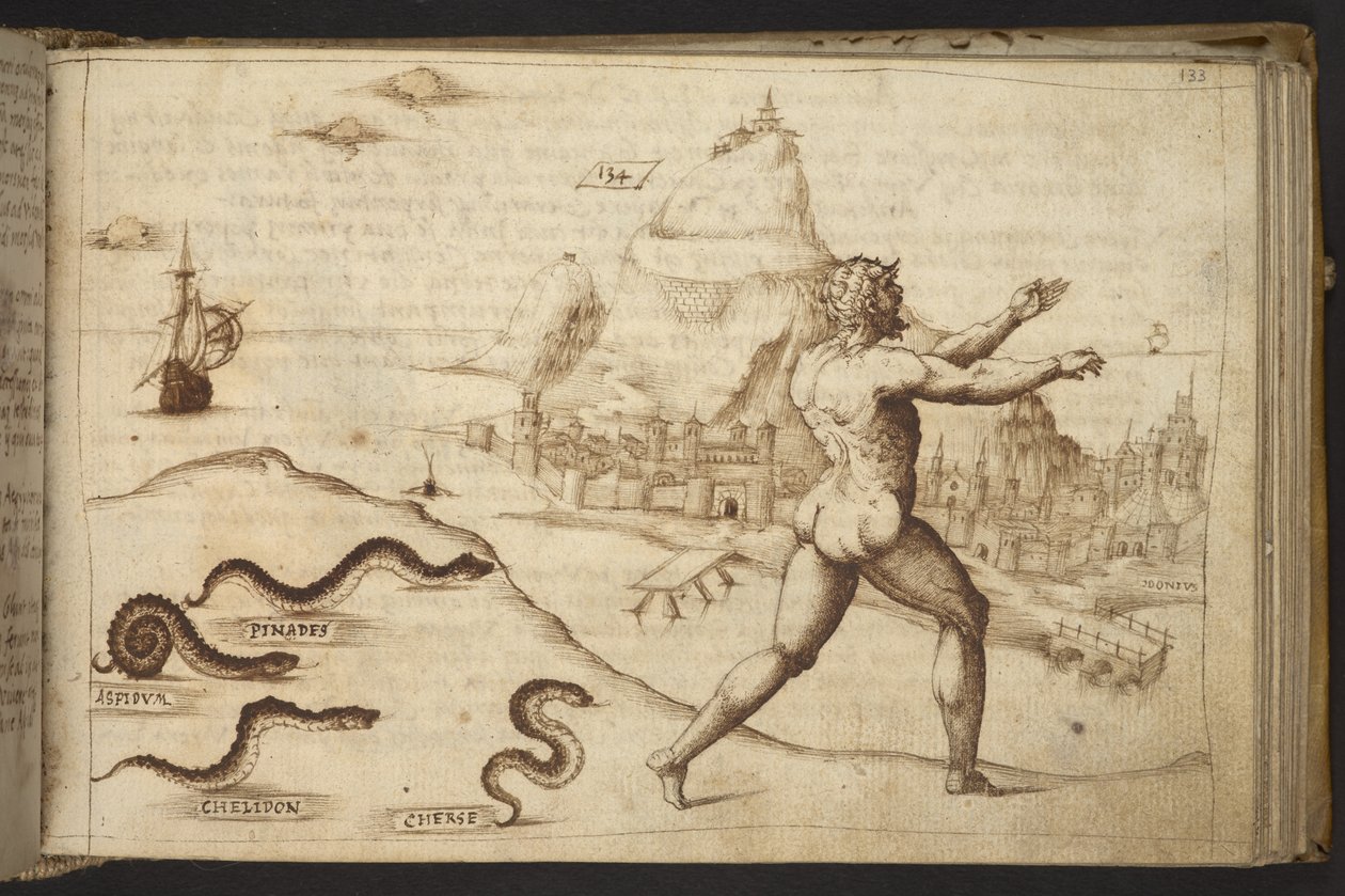 Dodać. 82955, f.133   Węże ścigające ludzką postać.  , z Historii Animalium, (składający się z 245 rysunków wykonanych piórem i atramentem różnych gatunków zwierząt i mitycznych stworzeń, każdy opatrzony opisem.)    1595 autorstwa Italian School