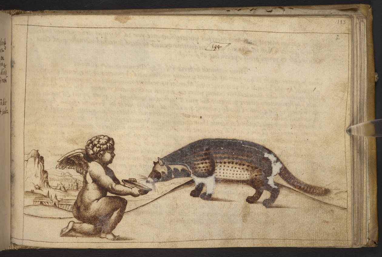 Dodać. 82955, f.193   Cherub i stworzenie.  , z Historii Animalium, (składający się z 245 rysunków wykonanych piórem i atramentem różnych gatunków zwierząt i mitycznych stworzeń, każdy opatrzony opisem.)    1595 autorstwa Italian School