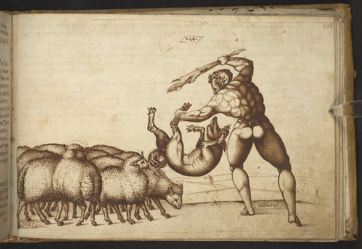 Dodać. 82955, f.233 Owce („pieprzone”).  , z Historii Animalium, (składający się z 245 rysunków wykonanych piórem i atramentem różnych gatunków zwierząt i mitycznych stworzeń, każdy opatrzony opisem.)    1595 autorstwa Italian School