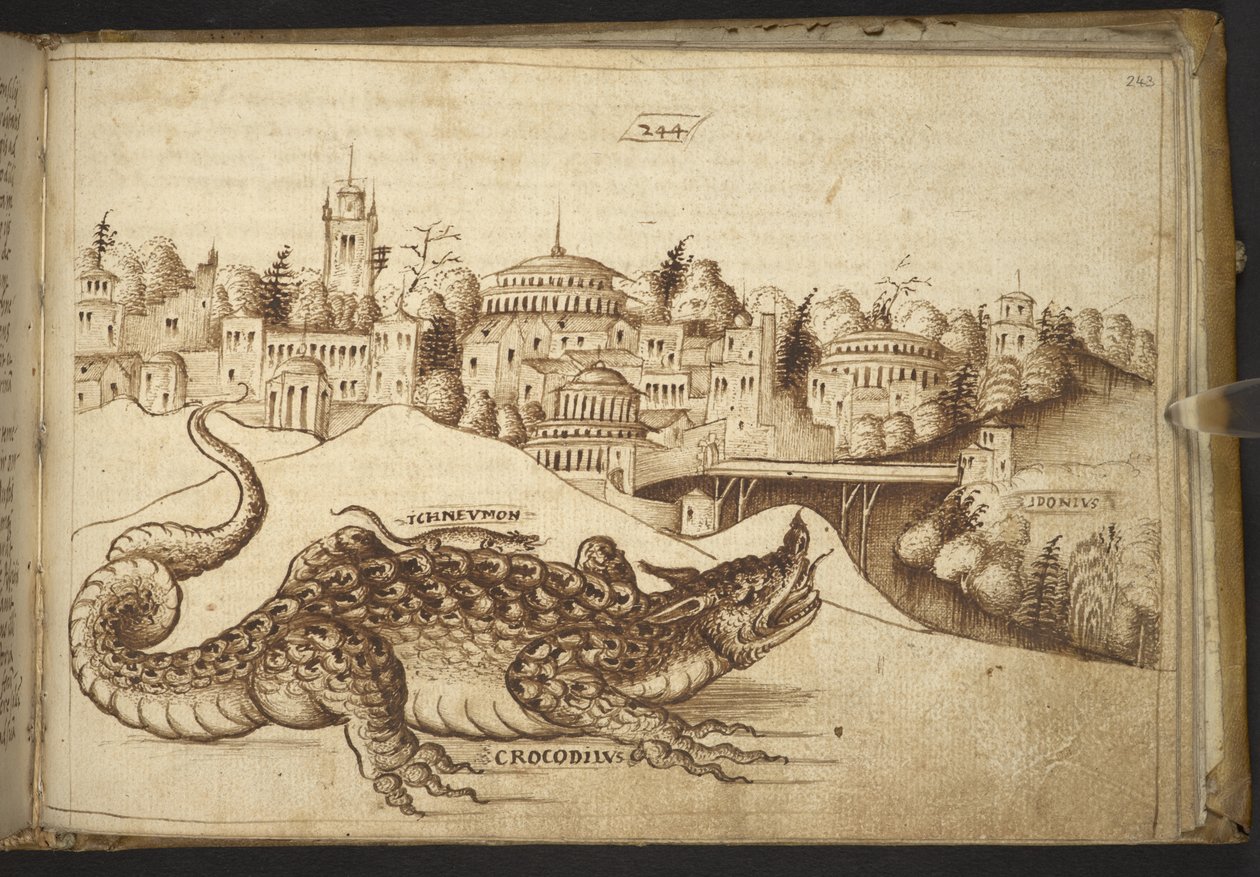 Dodać. 82955, f.243 Krokodyl („krokodyliusz”).  , z Historii Animalium, (składający się z 245 rysunków wykonanych piórem i atramentem różnych gatunków zwierząt i mitycznych stworzeń, każdy opatrzony opisem.)    1595 autorstwa Italian School
