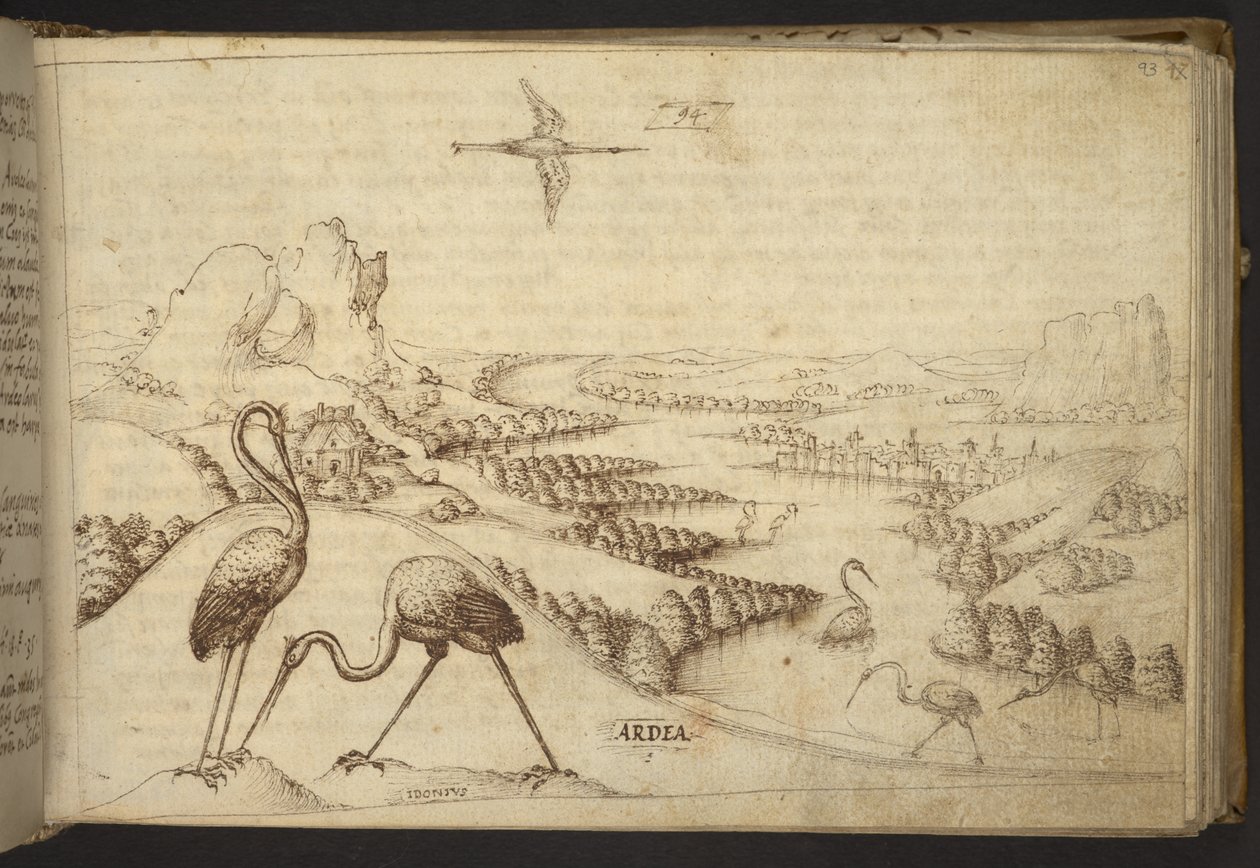 Dodać. 82955, f.93 Czaple (