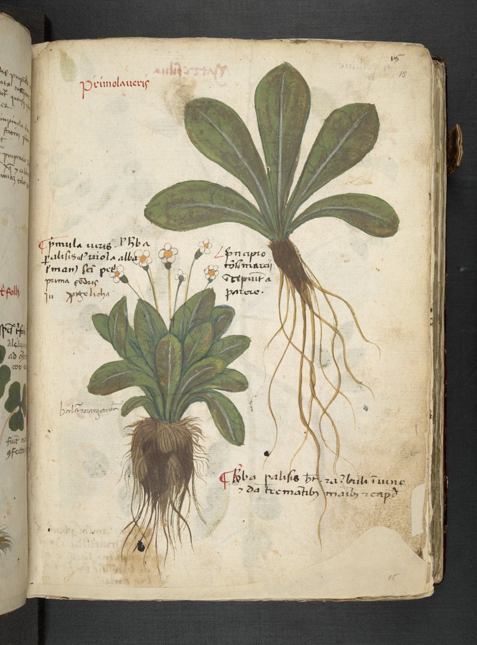 Dodaj MS 41623 