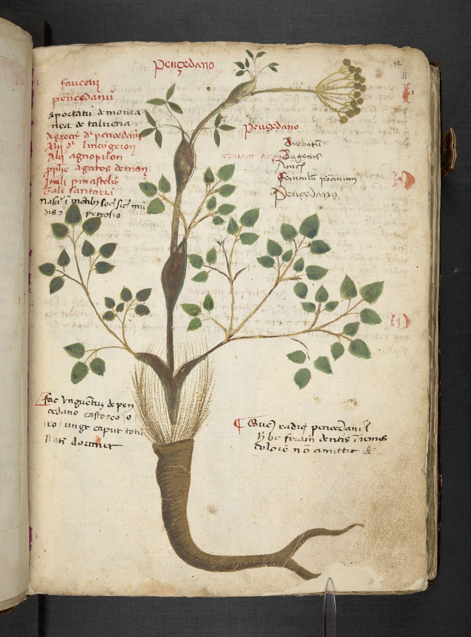 Dodaj MS 41623 