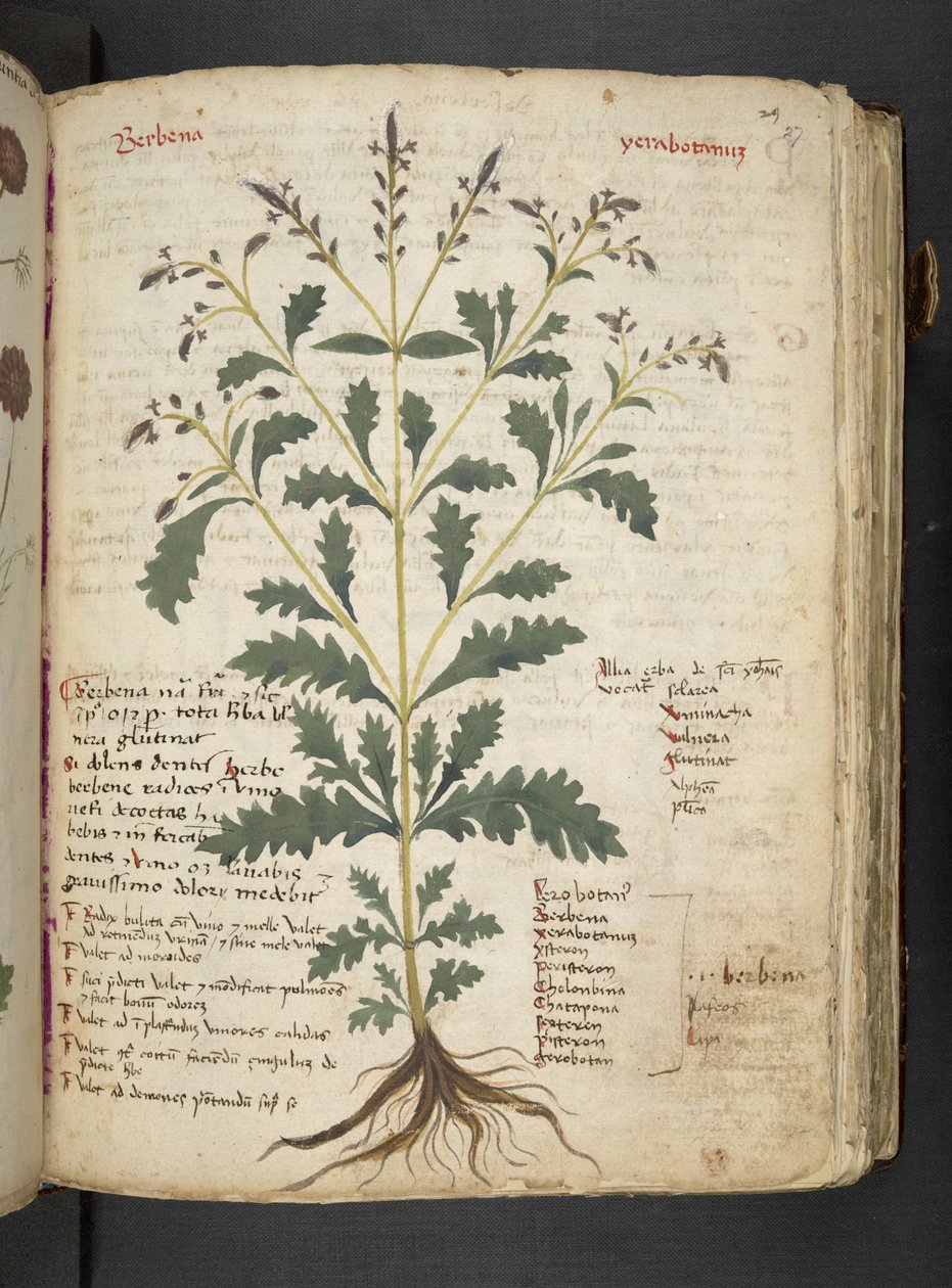 Dodaj MS 41623 