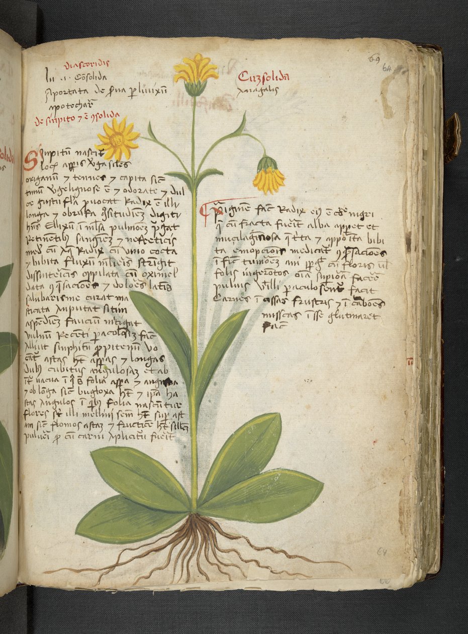 Dodaj MS 41623 