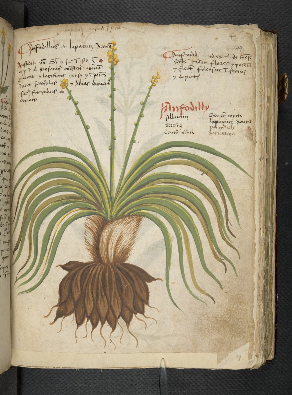 Dodaj MS 41623 